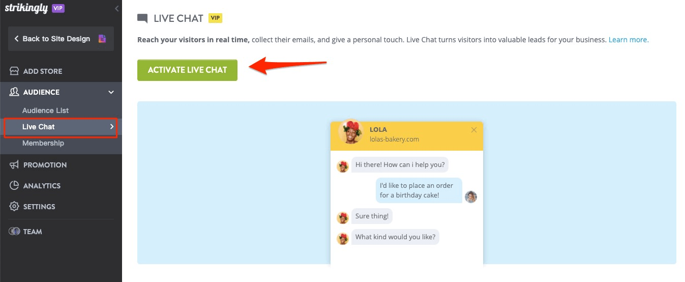 strikingly-website-livechat strikingly-website-livechat